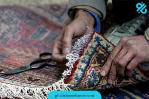 رفع زردی ریشه فرش