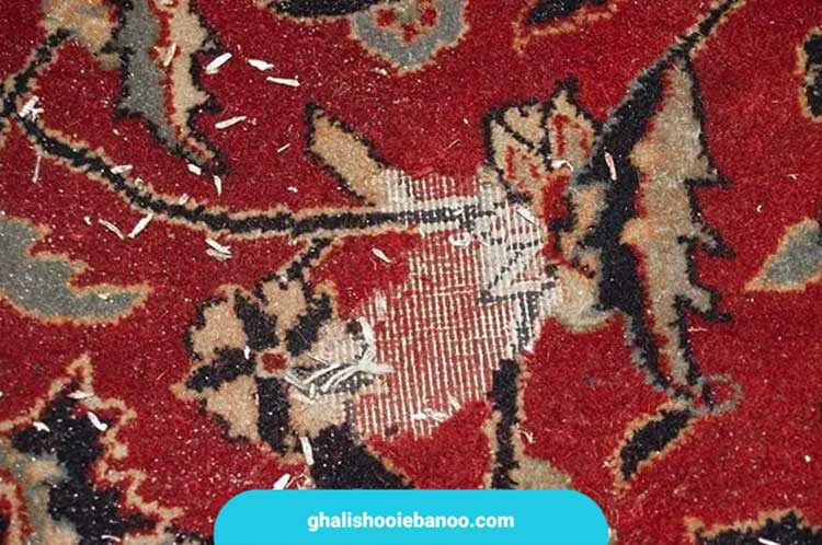 بید زدایی از فرش